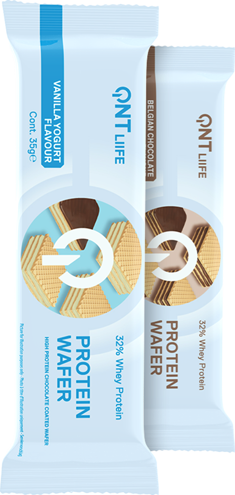 QNT Protein Wafer 32% - 12 x 35 g