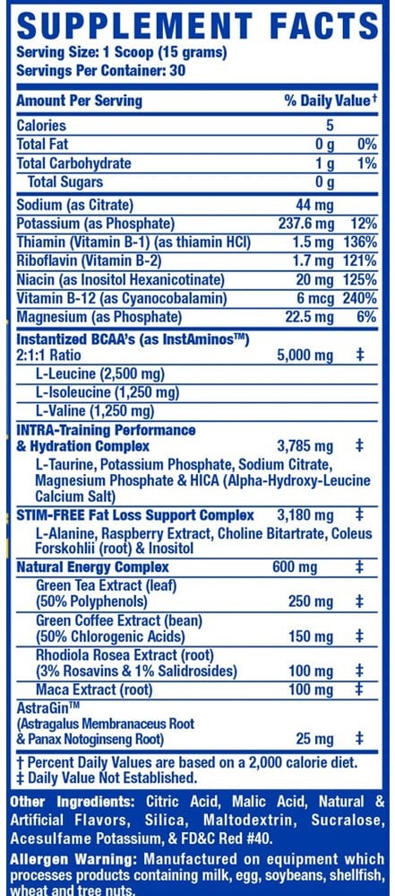 RCSS Amino-Tone + Energy - 450 g