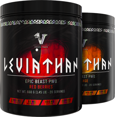 Viking Power Leviathan Hardcore PWO - 660 g
