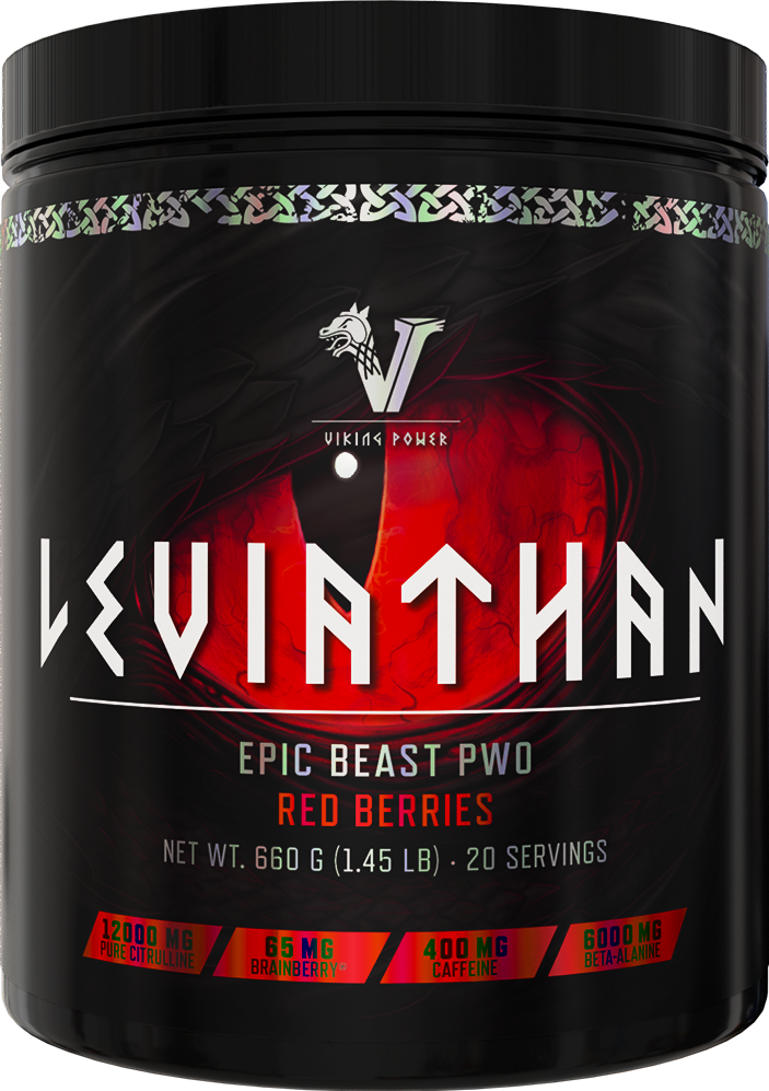 Viking Power Leviathan Hardcore PWO - 660 g