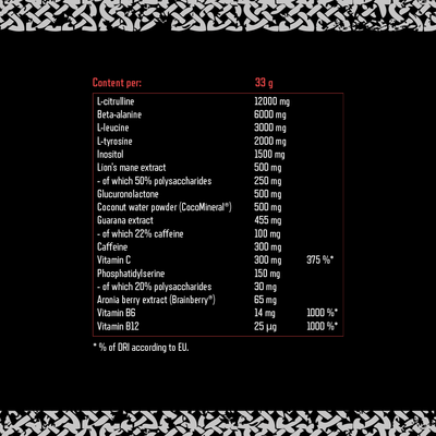 Viking Power Leviathan Hardcore PWO - 660 g