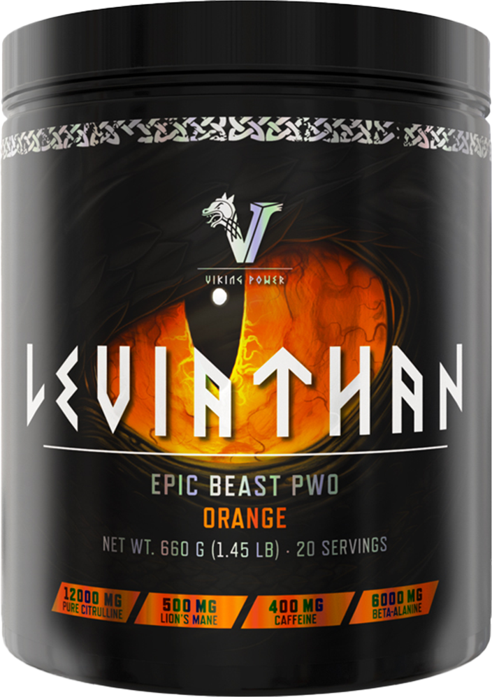 Viking Power Leviathan Hardcore PWO - 660 g