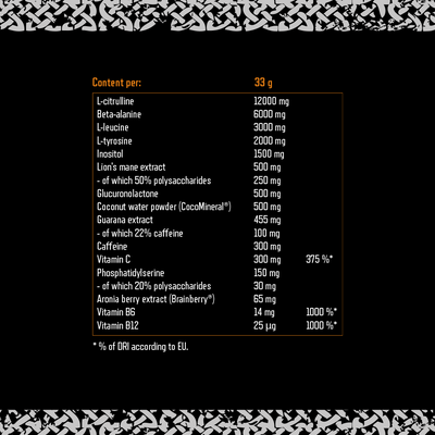 Viking Power Leviathan Hardcore PWO - 660 g