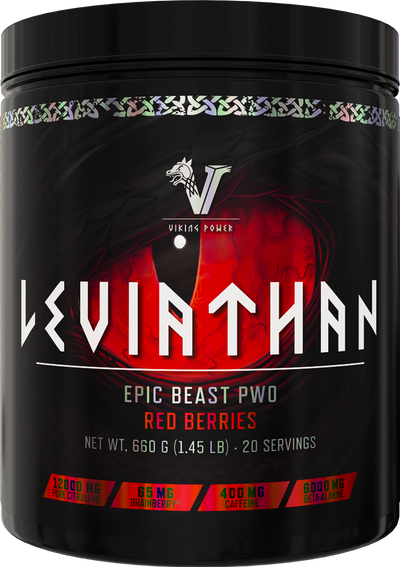 Viking Power Leviathan Hardcore PWO - 660 g