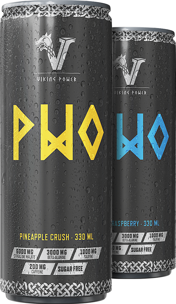 Viking Power PWO Energy Drink - 24 x 330 ml