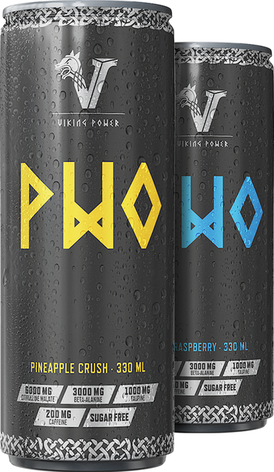 Viking Power PWO Energy Drink - 24 x 330 ml