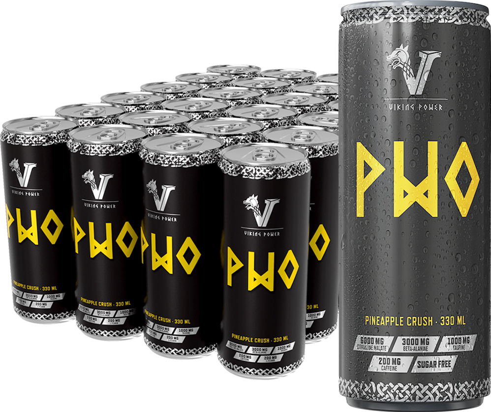 Viking Power PWO Energy Drink - 24 x 330 ml