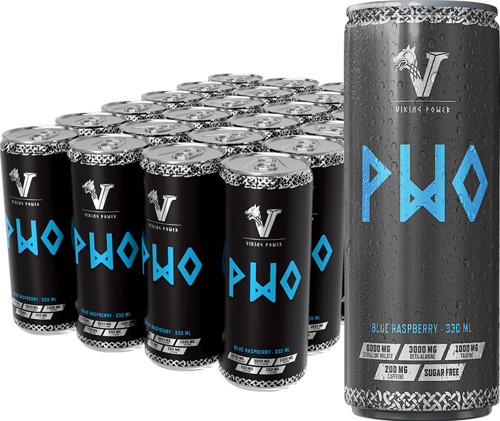 Viking Power PWO Energy Drink - 24 x 330 ml