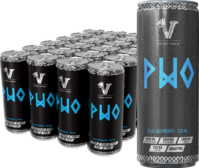 Viking Power PWO Energy Drink - 24 x 330 ml