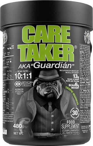 Zoomad Caretaker BCAA - 480 g